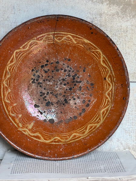 Rustic Provençal Dish