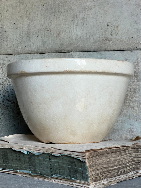 Large Lightly Crazed Pudding Bowl