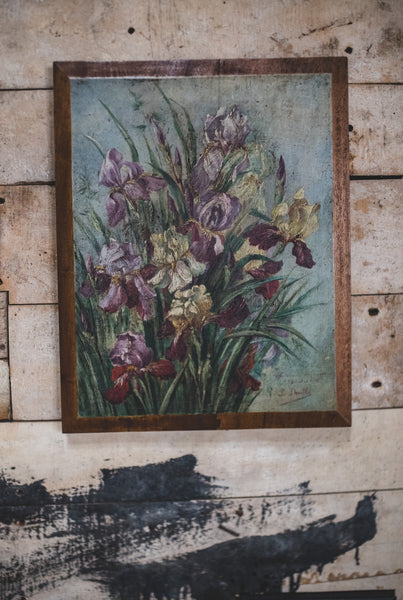 Iris on Board 1903
