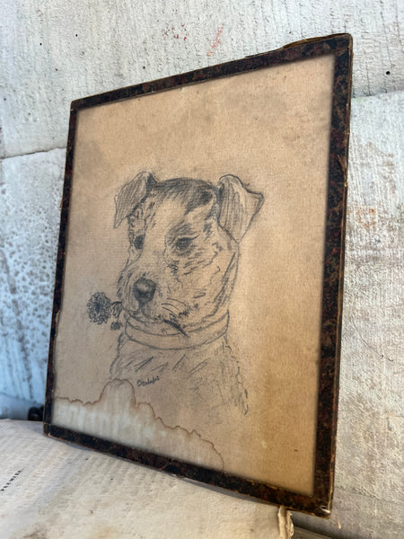 1940s Sweet Vintage Dog Sketch