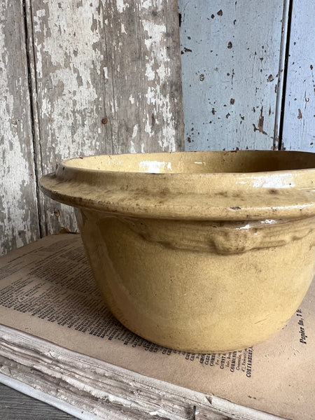 Beautiful Yellow French Bowl