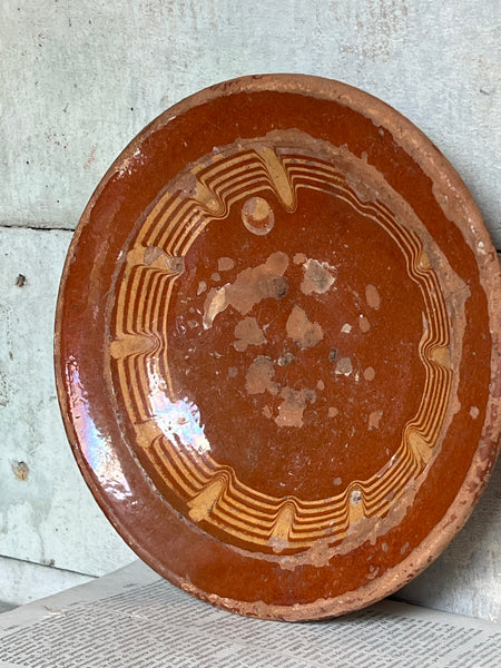 Rustic Provençal Dish