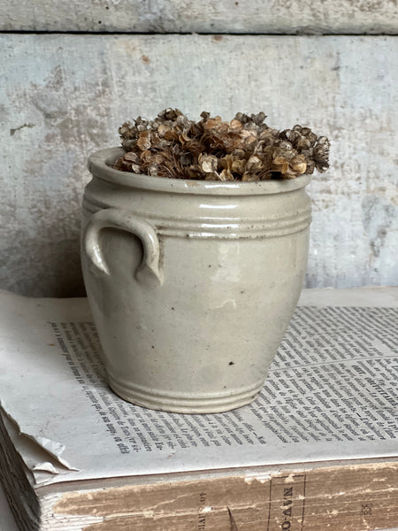 Mini French Confit Jar