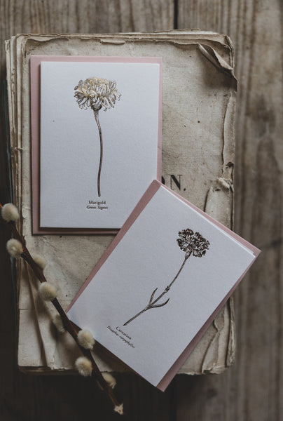 And So It Begins Marigold & Carnation "Mini" Card