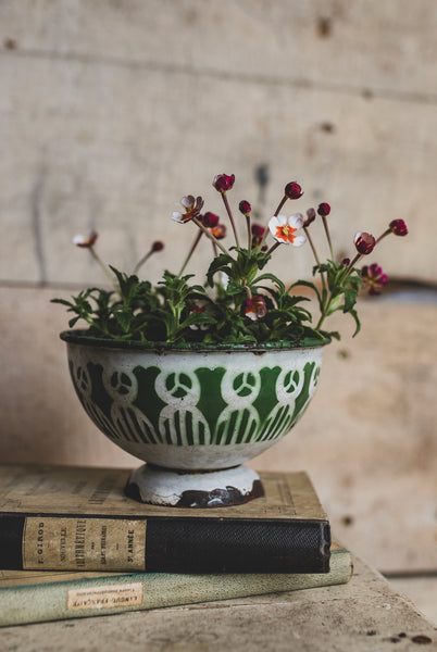 French Vintage Enamel Bowl