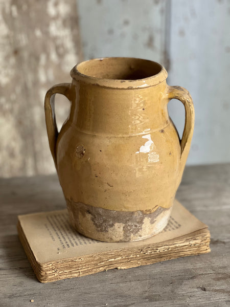 Stunning Decorative Italian Confit Jar