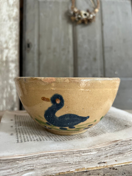 Beautiful Provençal Duck Bowl