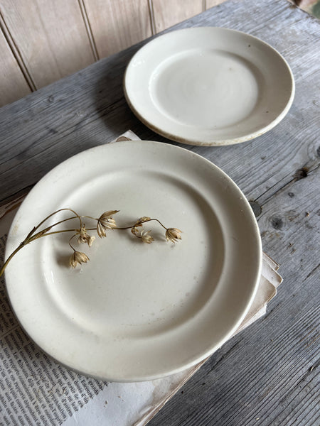 Beautiful Vintage French Plates Small