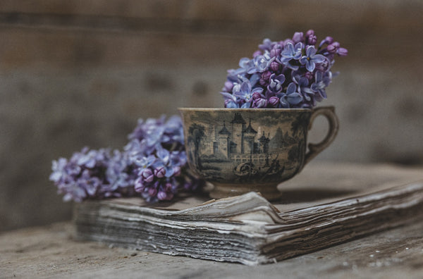 Chateau Scene Rustic Crazed Cup