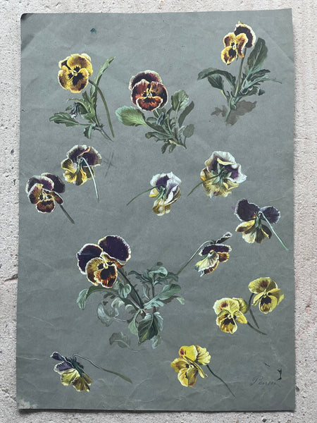 Gorgeous Pansy Vintage Painting