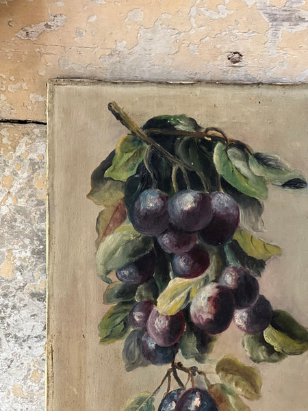 Vintage French Fruit Oil on Canvas