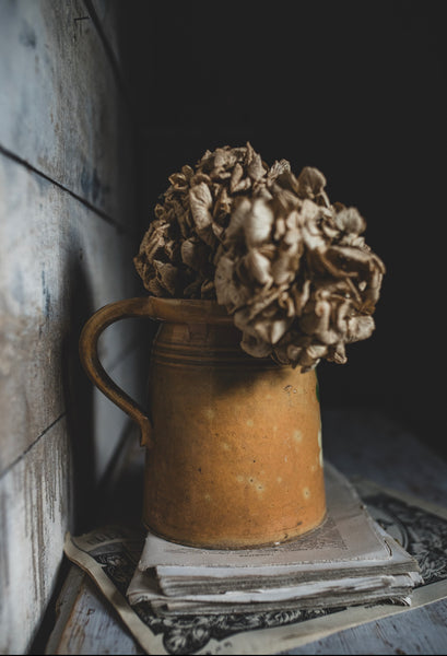 French Vintage Lidded Jug
