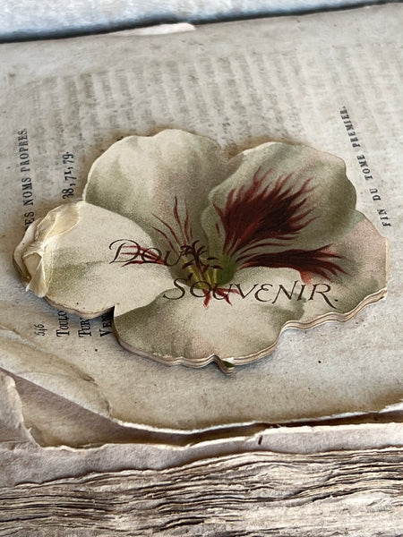 Beautiful Antique French Souvenir Book