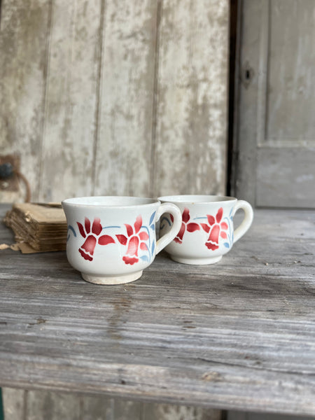 Pair of French Digoin Teacups