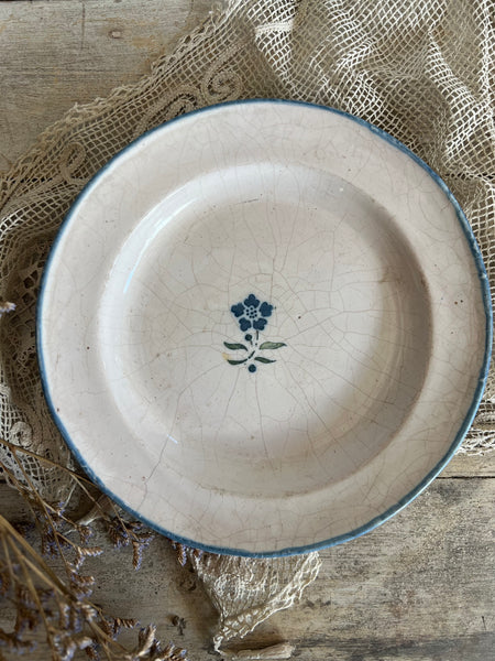 Beautiful Antique French Plate