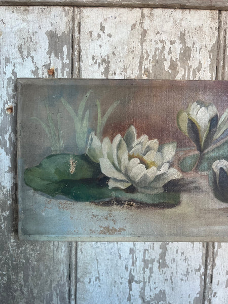 Floral Oil on Canvas