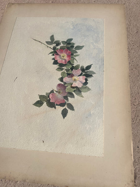 Beautiful Watercolour Painting
