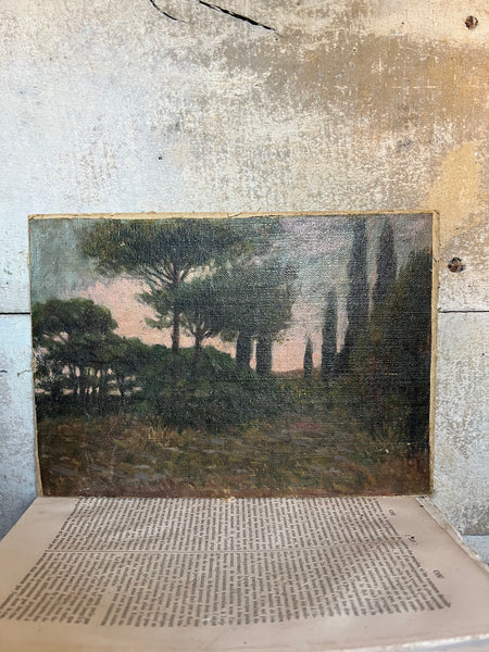 Landscape Tree Oil on Board