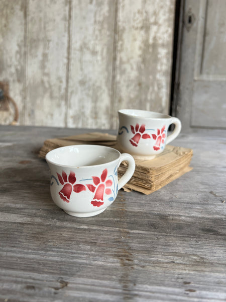 Pair of French Digoin Teacups