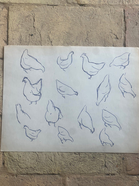 1948 French Chicken Sketch
