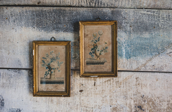 Framed Vintage French Floral Prints