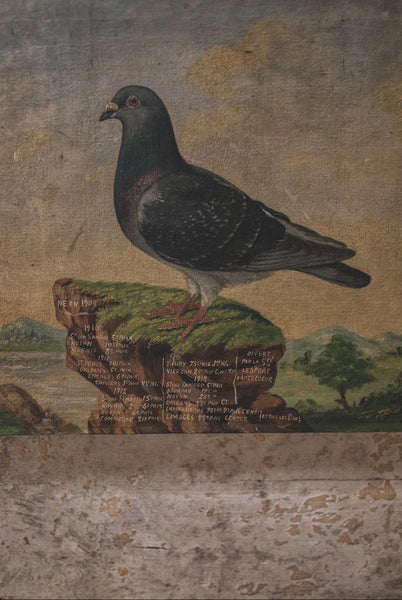 Antique French Pigeon Oil Painting