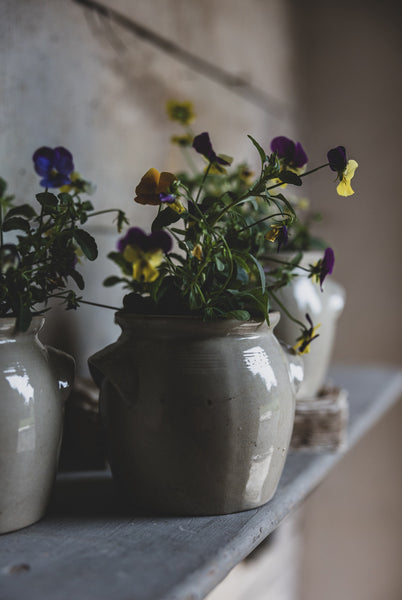 Small French Confit Jars