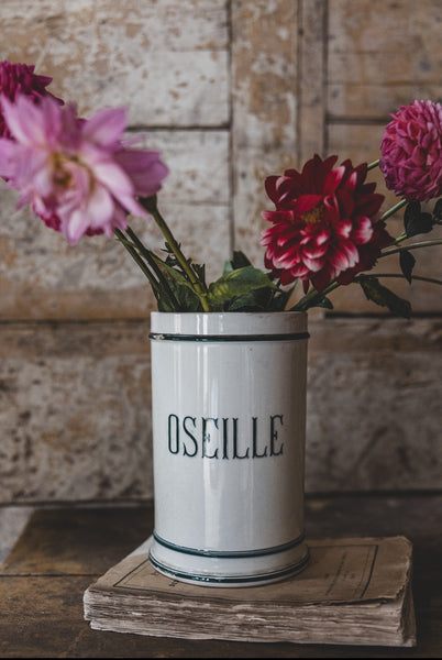 Gorgeous French Sorrel Pot