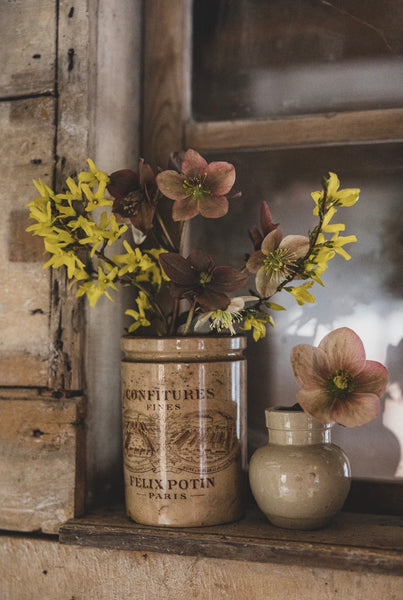 Vintage French Felix Potin Jar