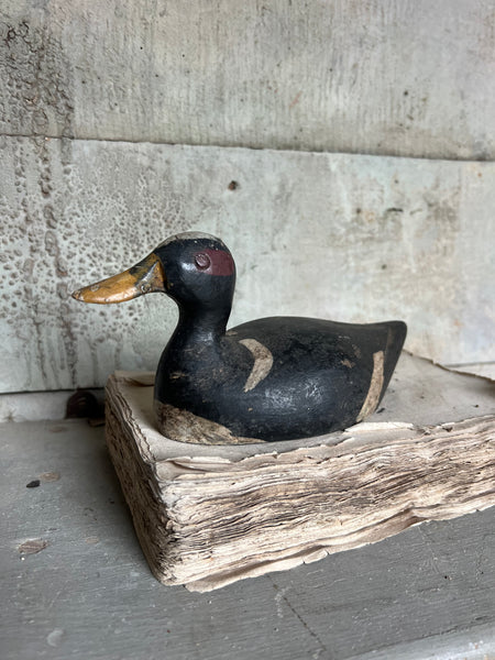 Vintage French Decoy Duck