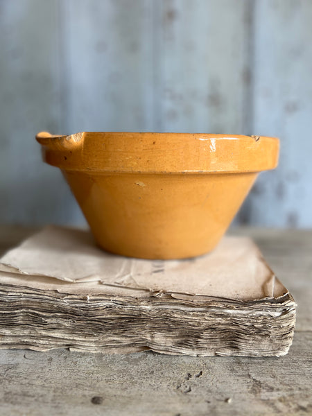 French Rustic Stoneware Bowl