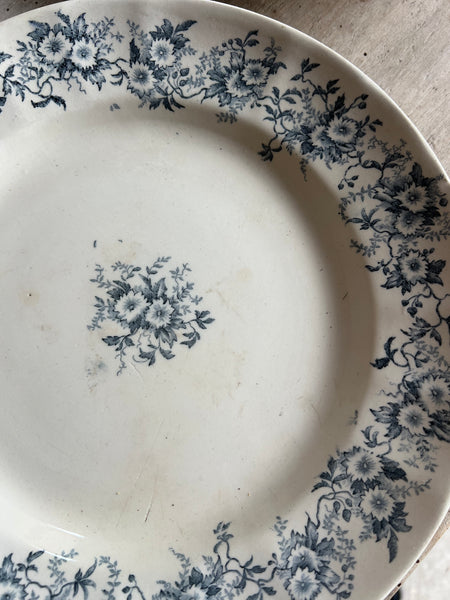 Lovely Longchamp Dishes
