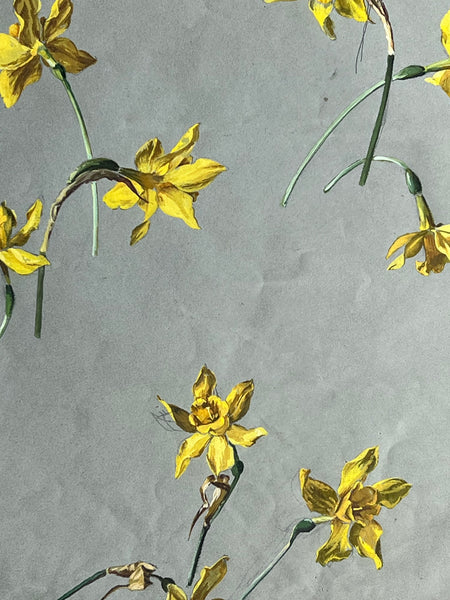 Gorgeous Daffodil Vintage Painting