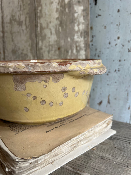 French Rustic Earthenware Bowl