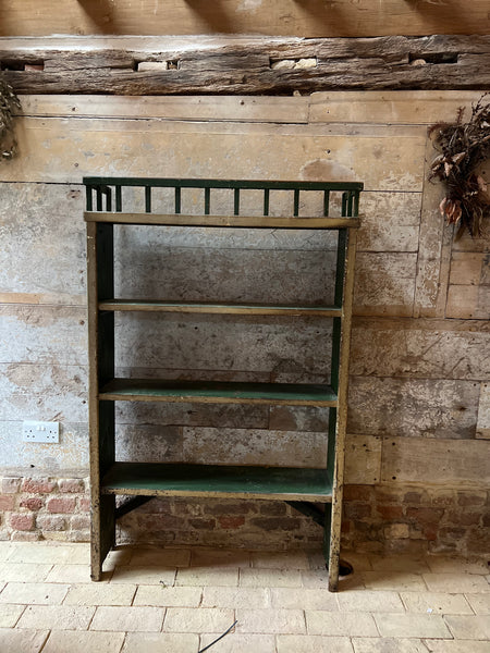 Rustic Chippy Paint Green Book Shelf