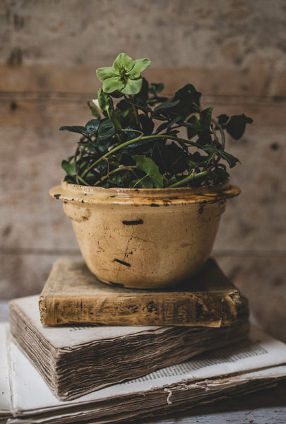 Vintage French Stapled Bowl