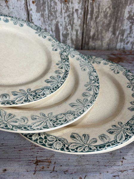 Antique French Conker Transferware Plates