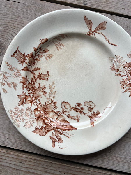 Brown Vintage Floral Plate with Dragonfly