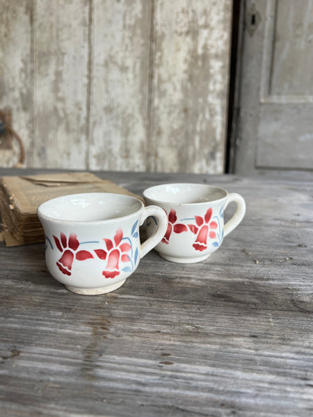 Pair of French Digoin Teacups