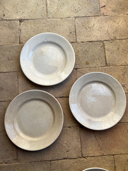 Vintage French Sarreguemines Ironstone Plates