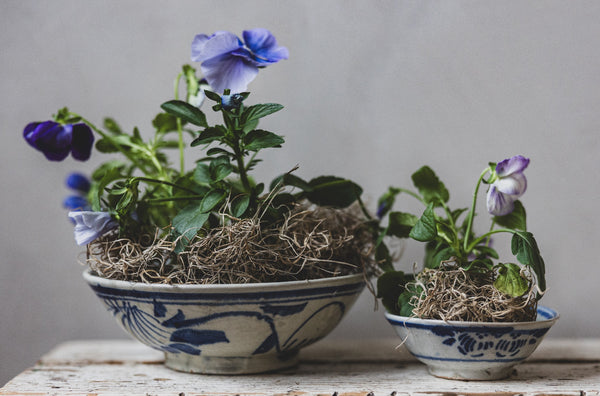 Antique Hand Painted Bowls