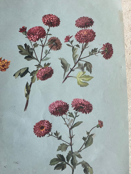 Gorgeous Dahlia Vintage Painting
