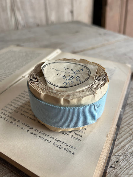 Beautiful French Ribbon (Light Blue)