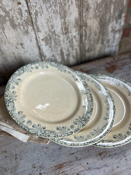 Antique French Conker Transferware Plates