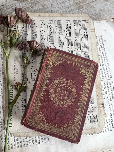 Antique Language of Flowers Book