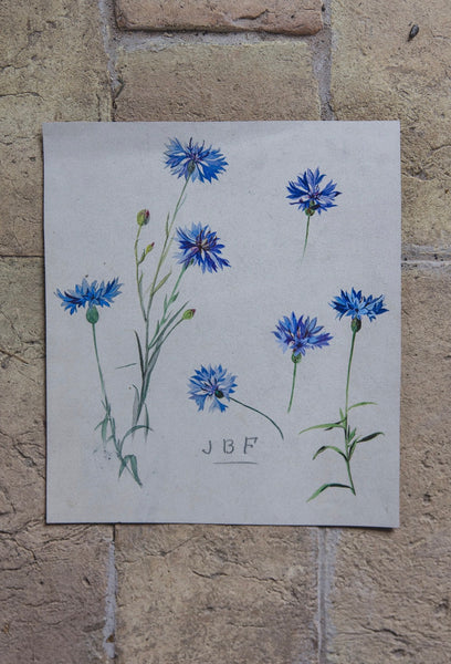 Gorgeous Cornflower Vintage Painting