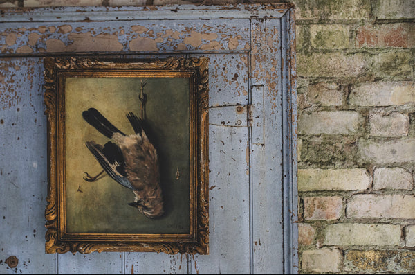 Framed Bird on Canvas