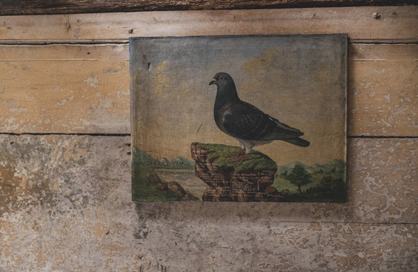 Antique French Pigeon Oil Painting