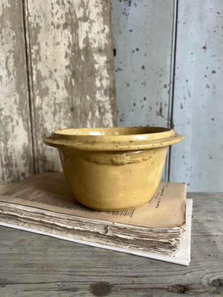 Beautiful Yellow French Bowl