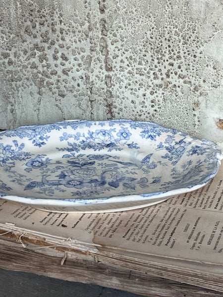 Asiatic Pheasant Dish